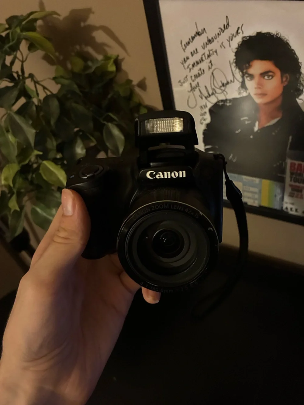 Canon powershot sx420